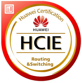 HUAWEI(Routing Switching)